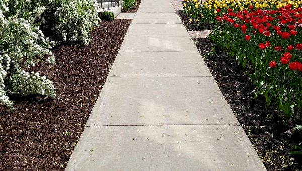 Cement Sidewalk Installation in San Francisco
