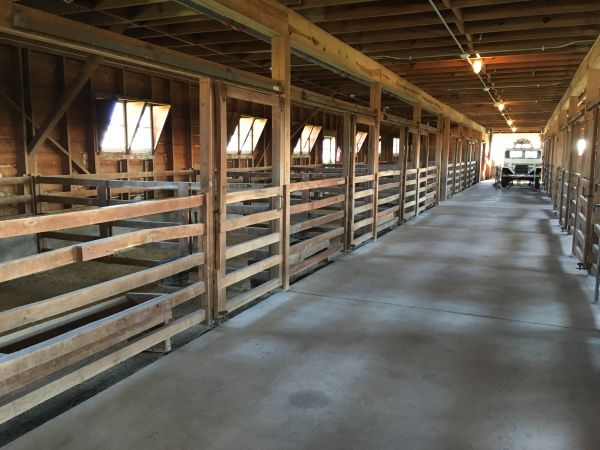 Barn Slab Construction in San Francisco