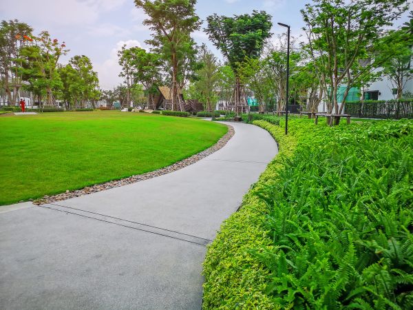 Cement Walkway Service in San Francisco