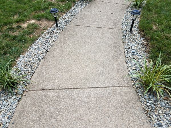 Cement Path Construction in San Francisco