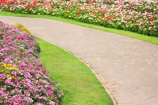 Concrete Walkway Service in San Francisco