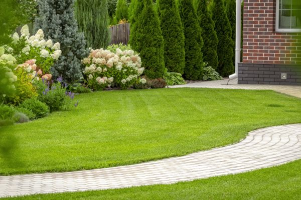 Landscape Walkway Installation in San Francisco